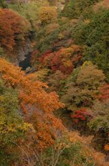 鳩の巣渓谷の紅葉_018