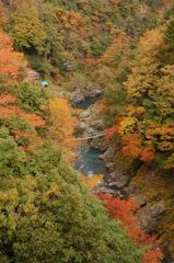 鳩の巣渓谷の紅葉_002