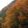 鳩の巣渓谷の紅葉_014