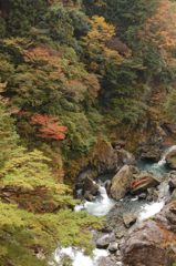 鳩の巣渓谷の紅葉_004