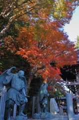 高尾山の紅葉_017