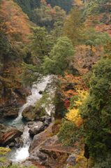 鳩の巣渓谷の紅葉_006