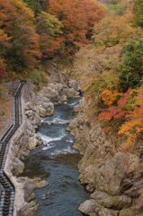 鳩の巣渓谷の紅葉_015