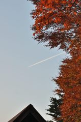 高尾山の紅葉_024
