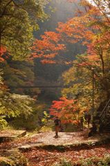 鳩の巣渓谷の紅葉_008