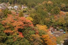 鳩の巣渓谷の紅葉_005