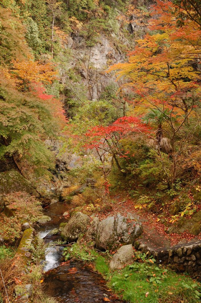鳩の巣渓谷の紅葉_007