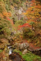 鳩の巣渓谷の紅葉_007