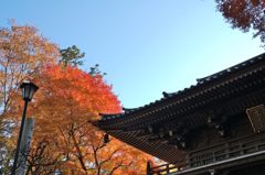 高尾山の紅葉_016