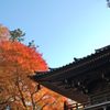 高尾山の紅葉_016