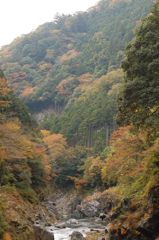 鳩の巣渓谷の紅葉_012