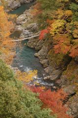 鳩の巣渓谷の紅葉_003