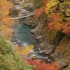 鳩の巣渓谷の紅葉_003