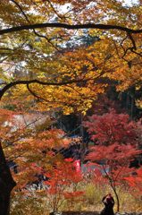 高尾山の紅葉_007