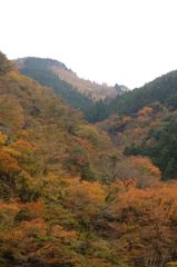 鳩の巣渓谷の紅葉_016