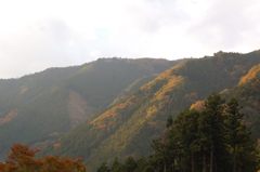 鳩の巣渓谷の紅葉_019