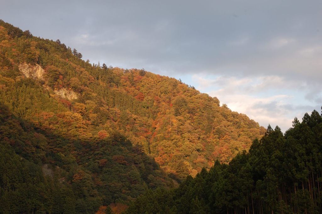 鳩の巣渓谷の紅葉_023