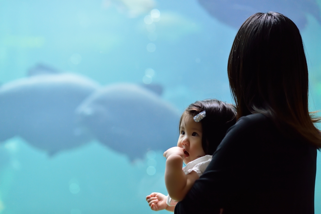 初めての水族館