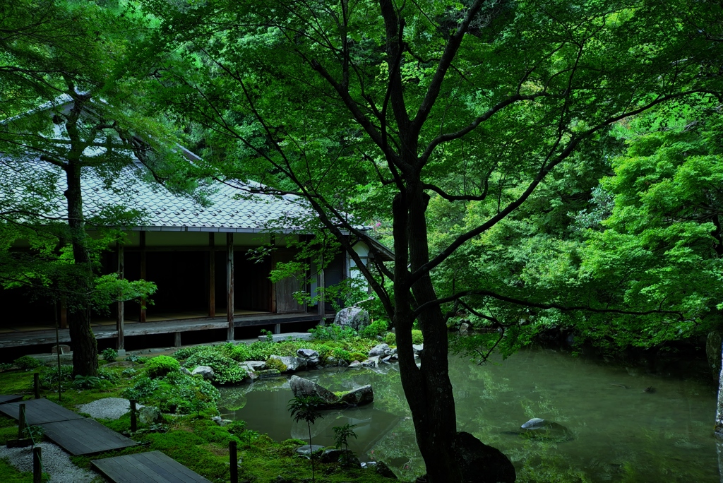 蓮華寺