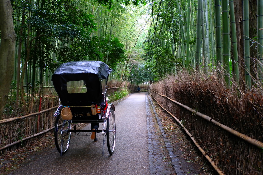 竹林の道