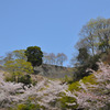 空をむかえて
