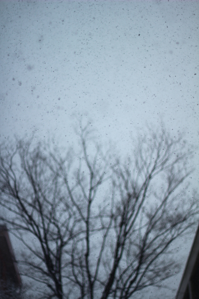 snow ...