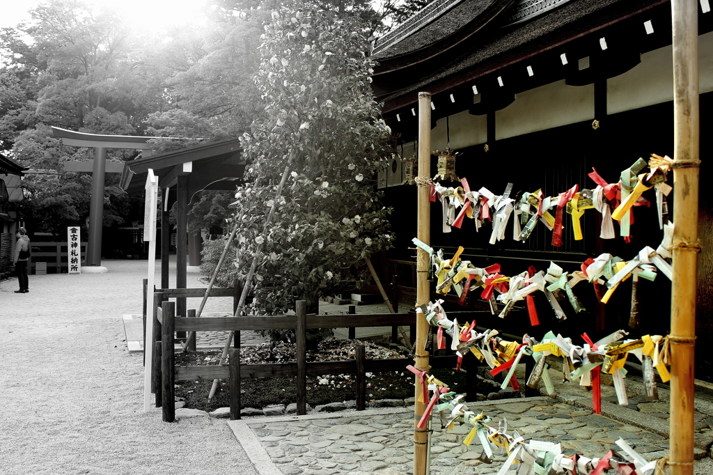 上賀茂神社一人旅