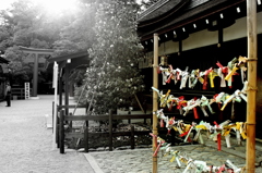 上賀茂神社一人旅