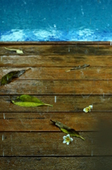 強い雨にうたれる