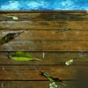 強い雨にうたれる