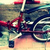 RED CYCLE