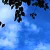 雨のち晴れ
