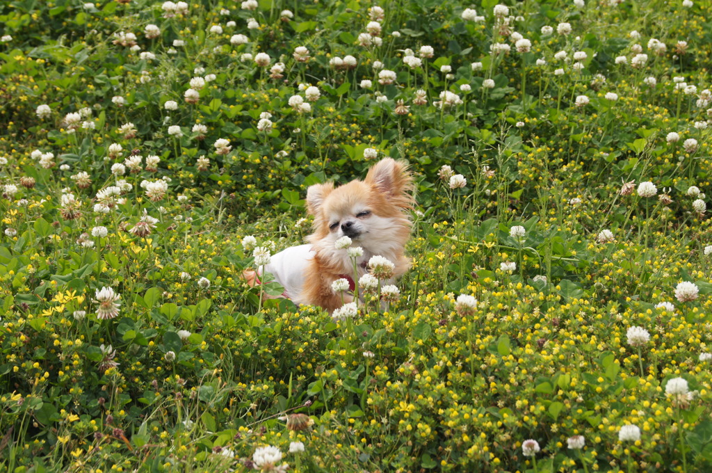 うっとり