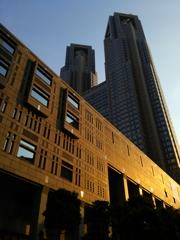 都庁　夕暮れ