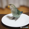 とり皿ｗ