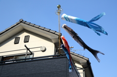 ５月の風