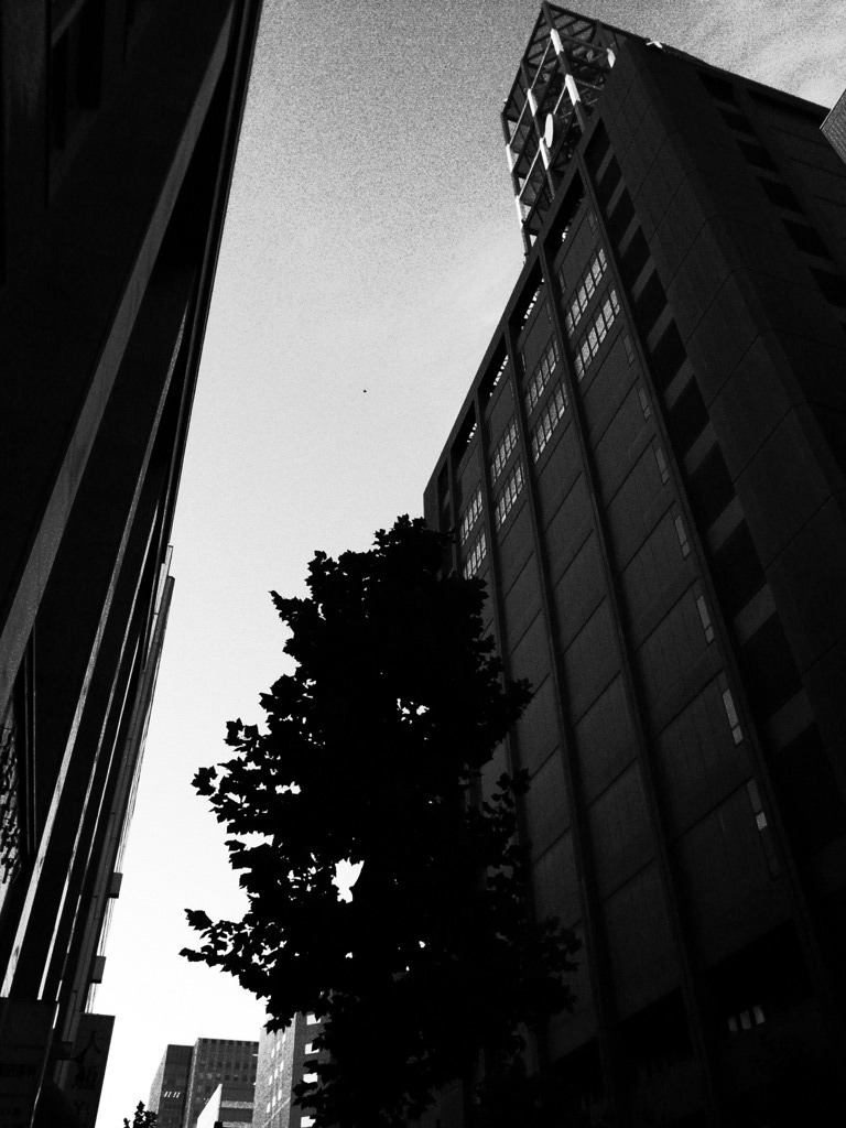 R0015263