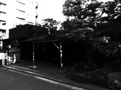 R0015221