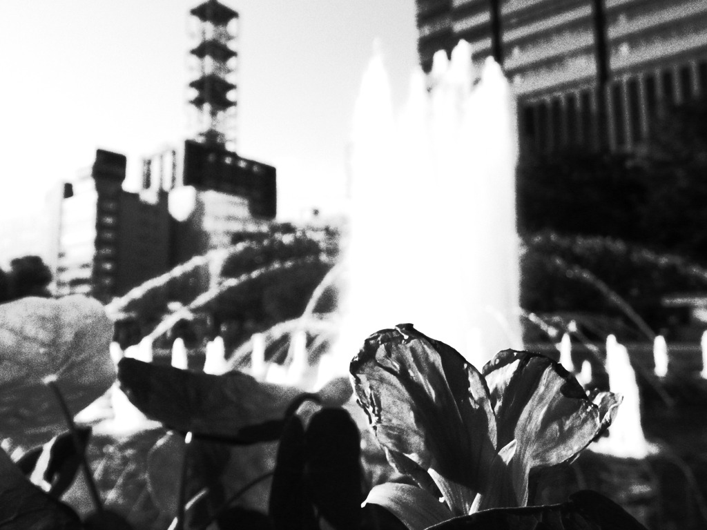 R0015101