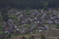 放水