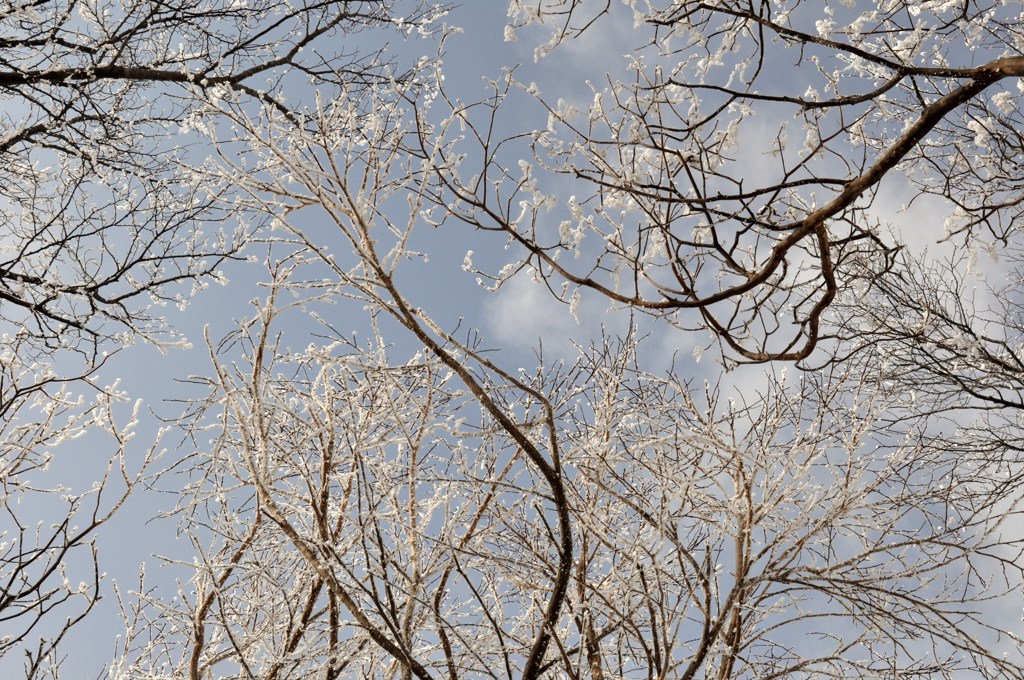 空はこんなにも美しく
