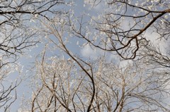 空はこんなにも美しく