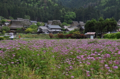 穏やかに
