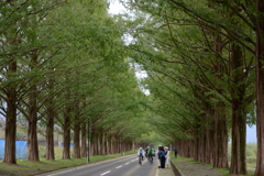 初秋