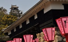 高知の春