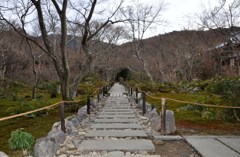 奥にはなにが？