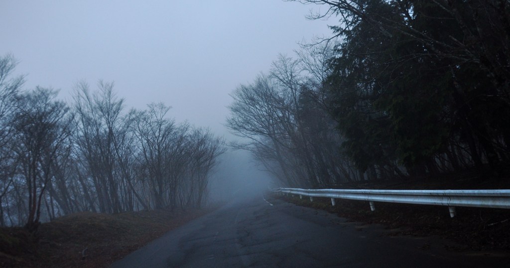 何かが・・・