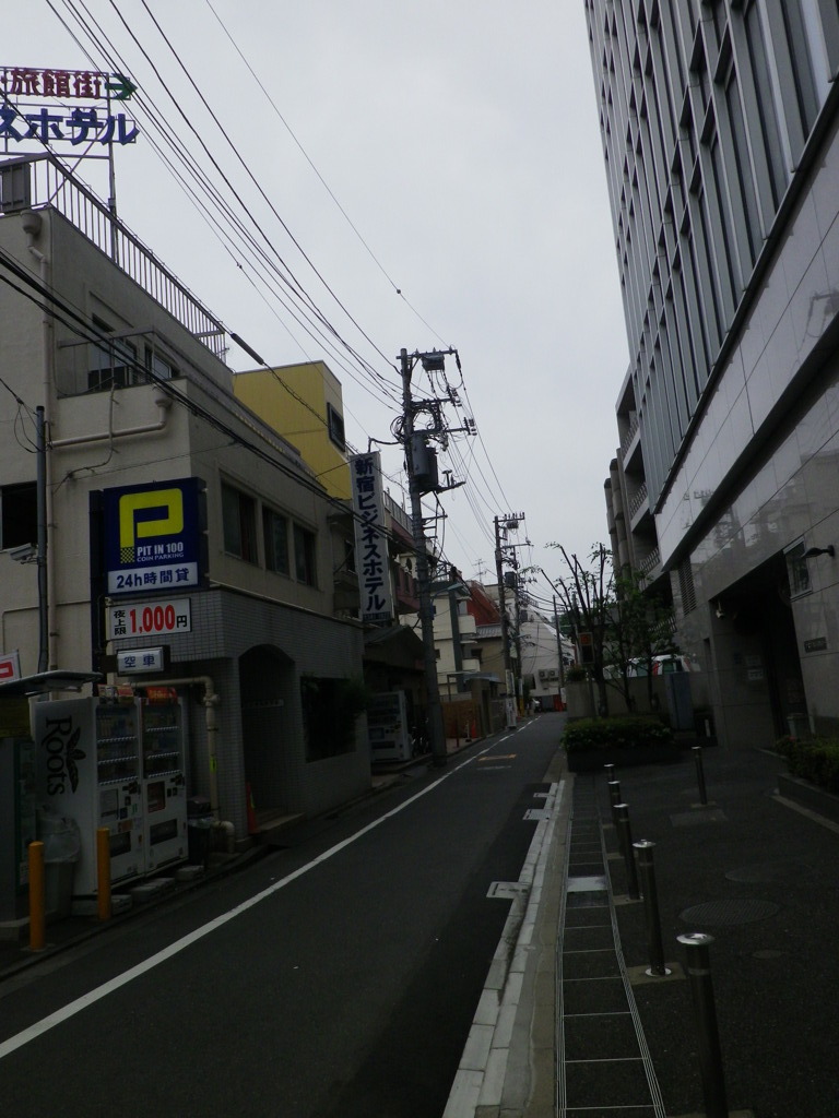 IMGP0117
