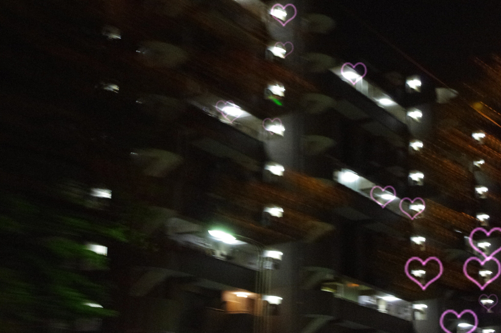 愛が生まれた日。