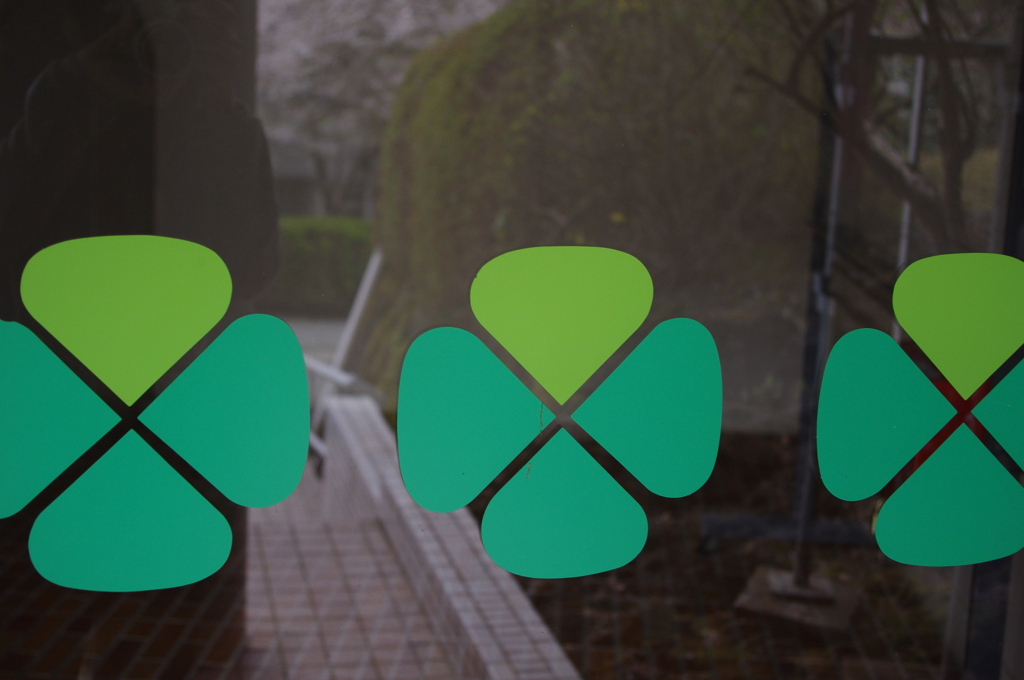 四つ葉のクローバー